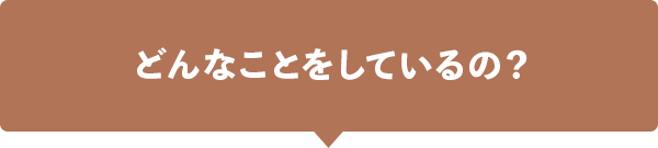 どんなことをしているの？